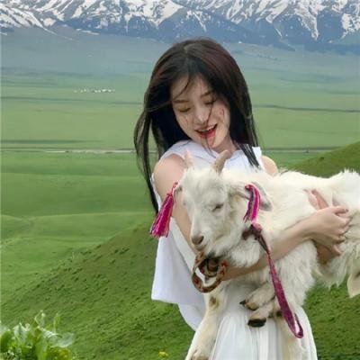 抓住彩虹的男人2015